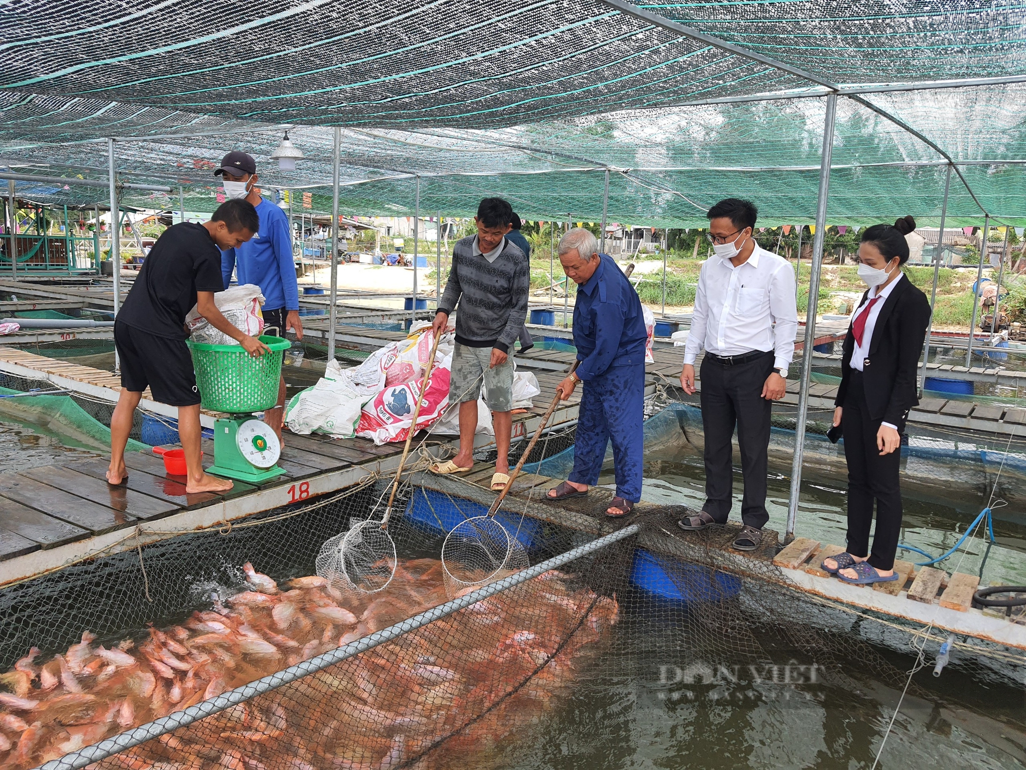 Quảng Nam: Phát triển kinh tế làm đòn bẩy để Duy Xuyên hướng đến huyện nông thôn mới nâng cao - Ảnh 5.