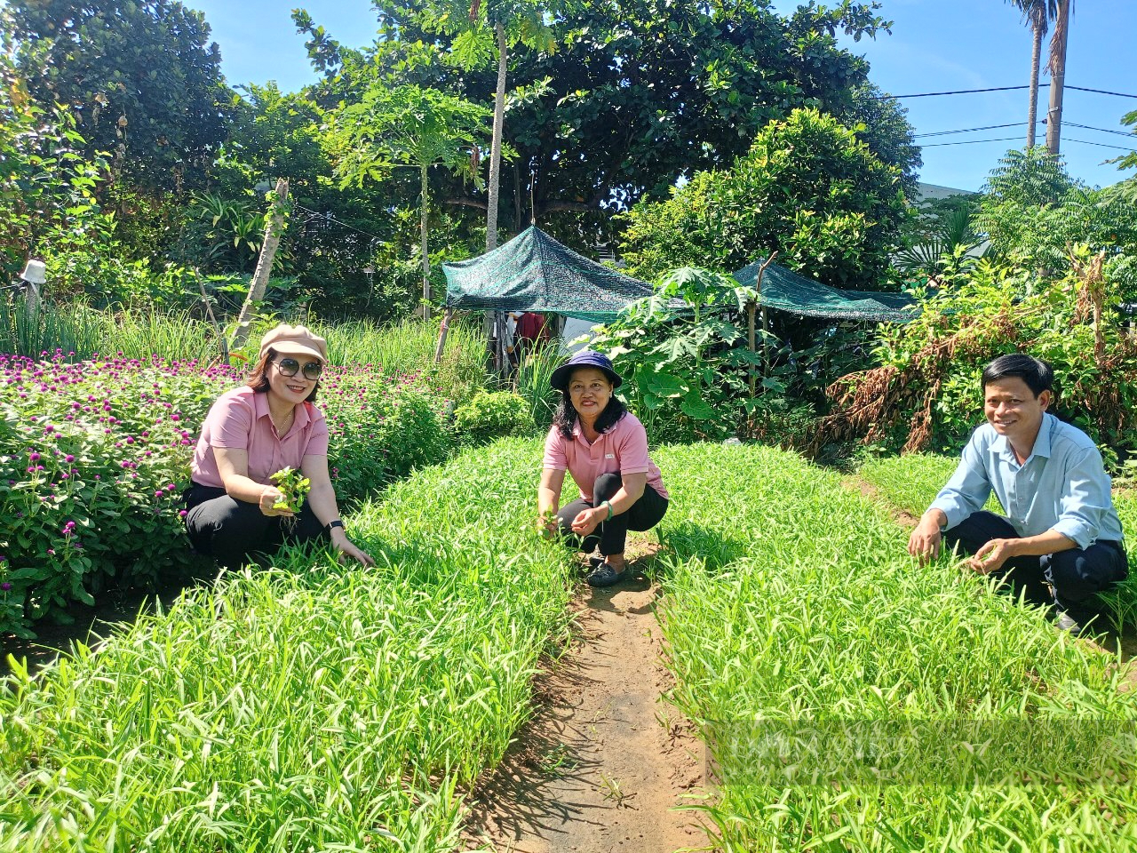 Đà Nẵng: Hội Nông dân Cẩm Lệ sơ kết công tác Hội và phong trào nông dân 9 tháng đầu năm 2024- Ảnh 7.