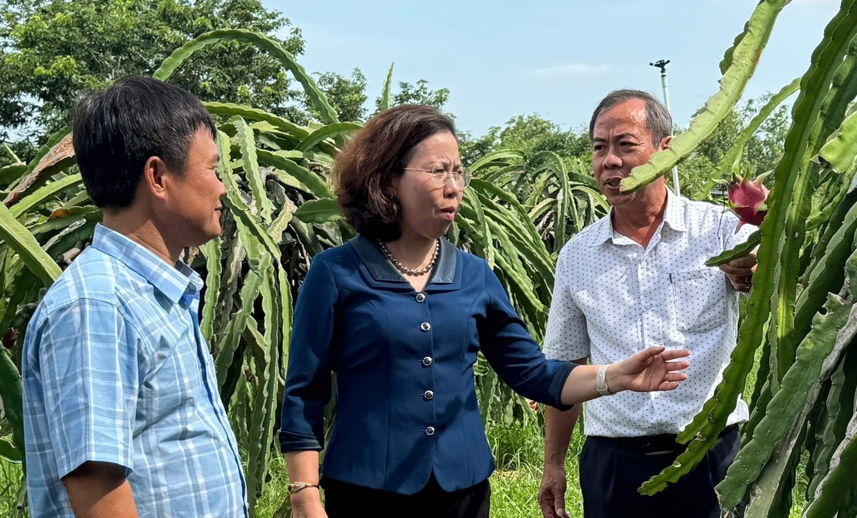 Một HTX do Hội Nông dân tư vấn thành lập đã làm ra những sản phẩm độc đáo, tạo việc làm cho nhiều nông dân - Ảnh 2.