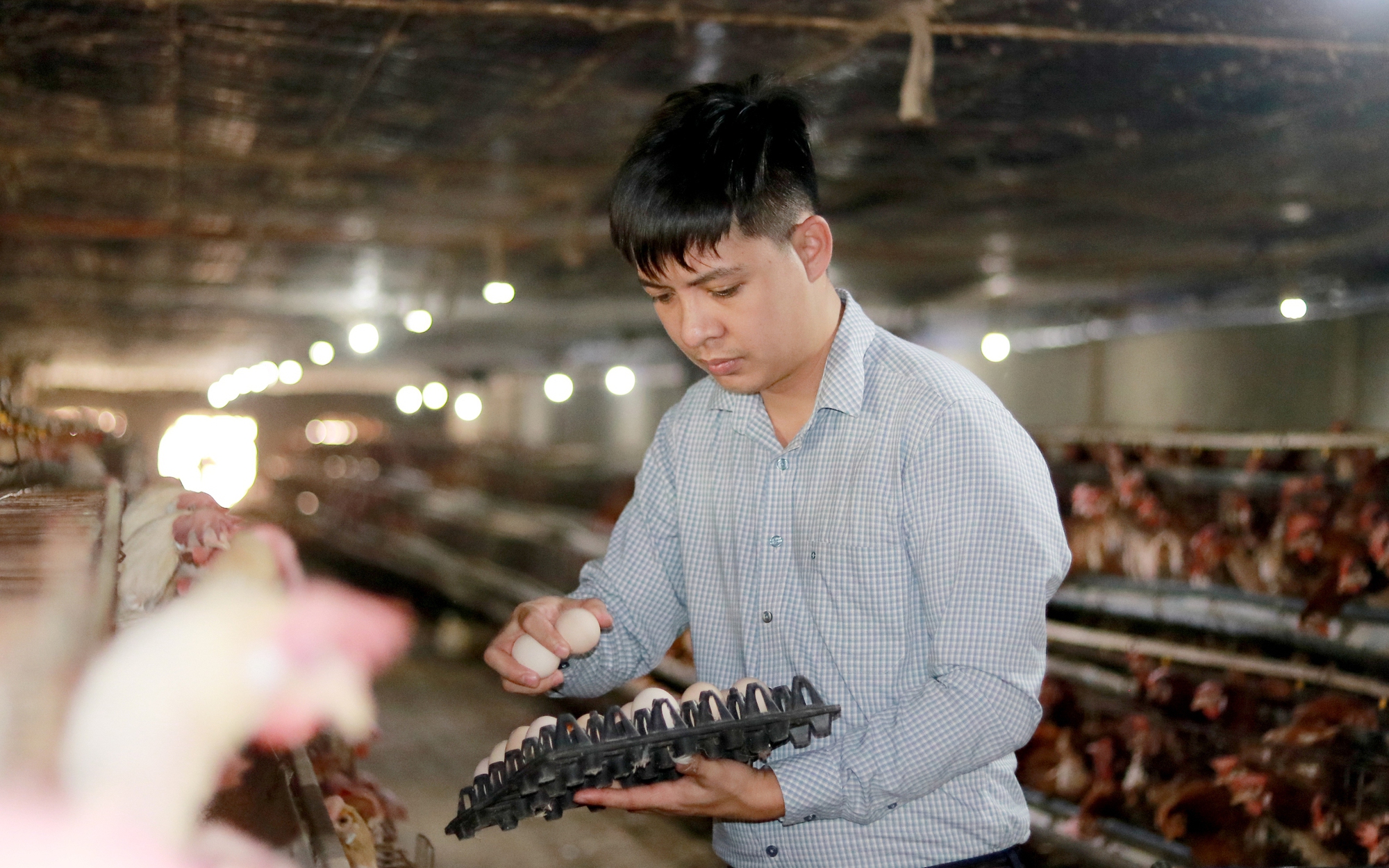 Người "nuôi lung tung" hơn 100 con trâu, bò, ngựa ở Điện Biên là Nông dân Việt Nam xuất sắc - Ảnh 10.