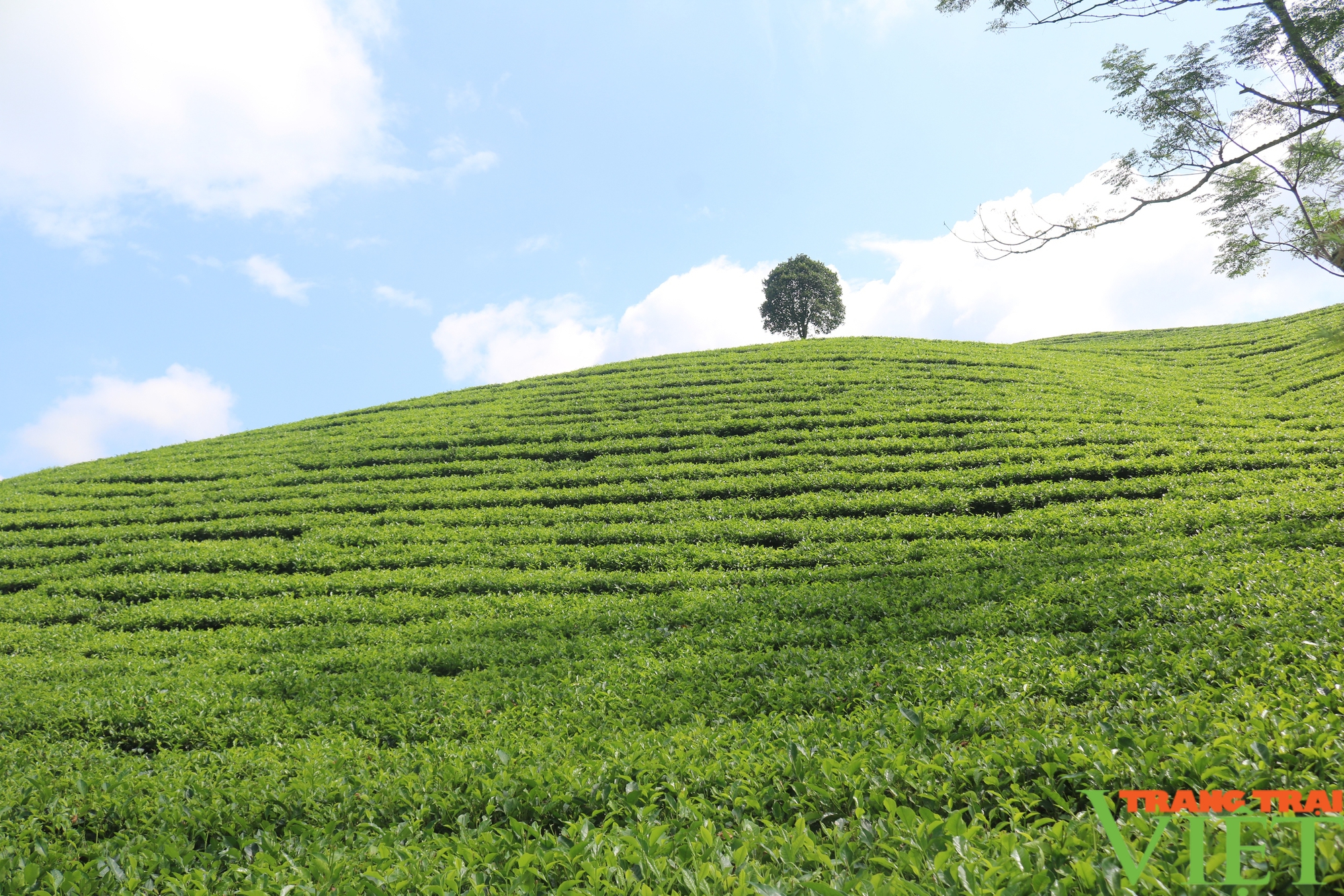 Mường Khương: Phát huy vai trò của Bí thư Chi bộ thôn trong xây dựng nếp sống văn hoá, nông thôn mới - Ảnh 10.