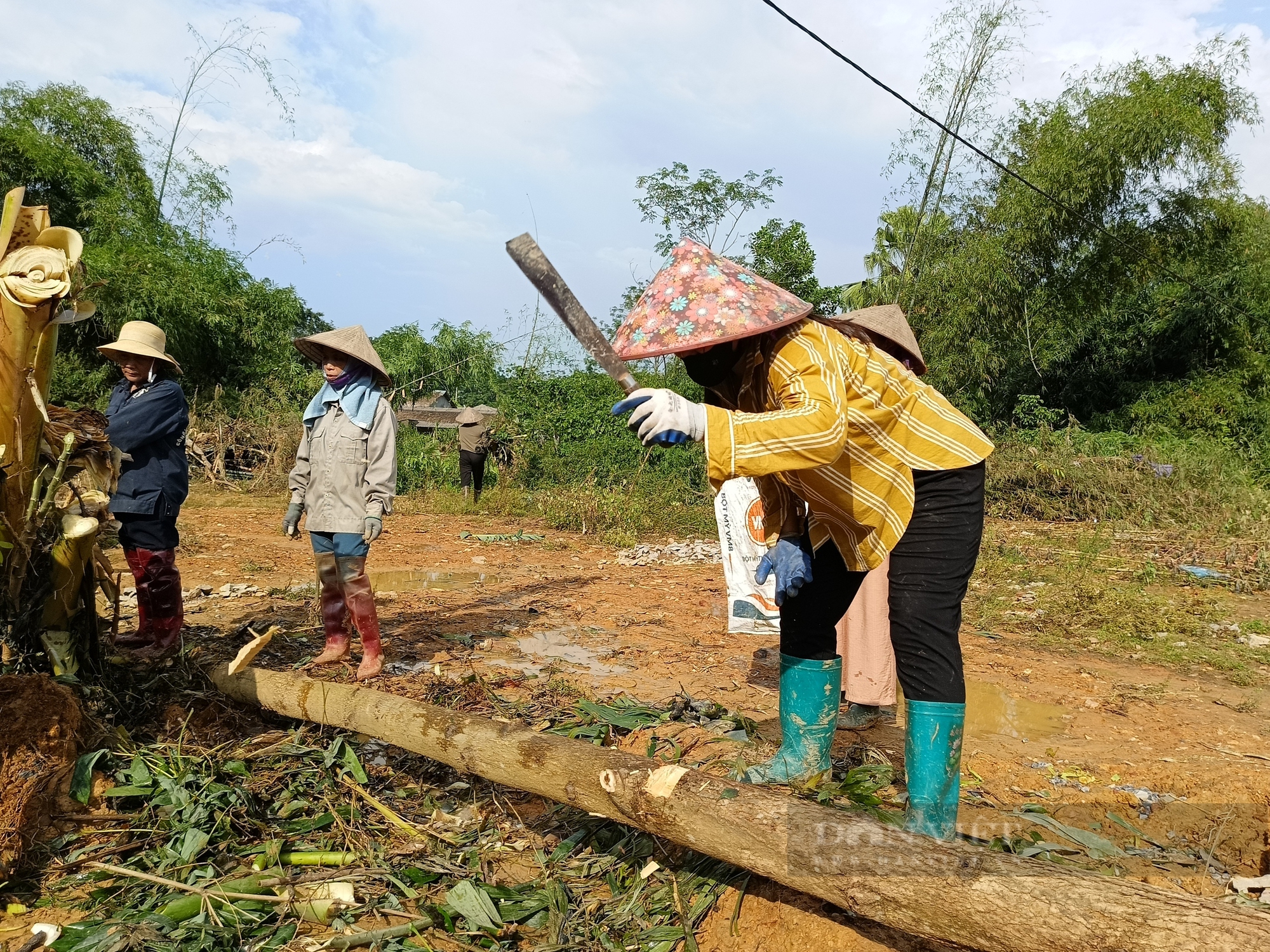 Cán bộ hội cơ sở mong các ngân hàng khoanh, giãn nợ cho hội viên sau bão số 3 - Ảnh 1.