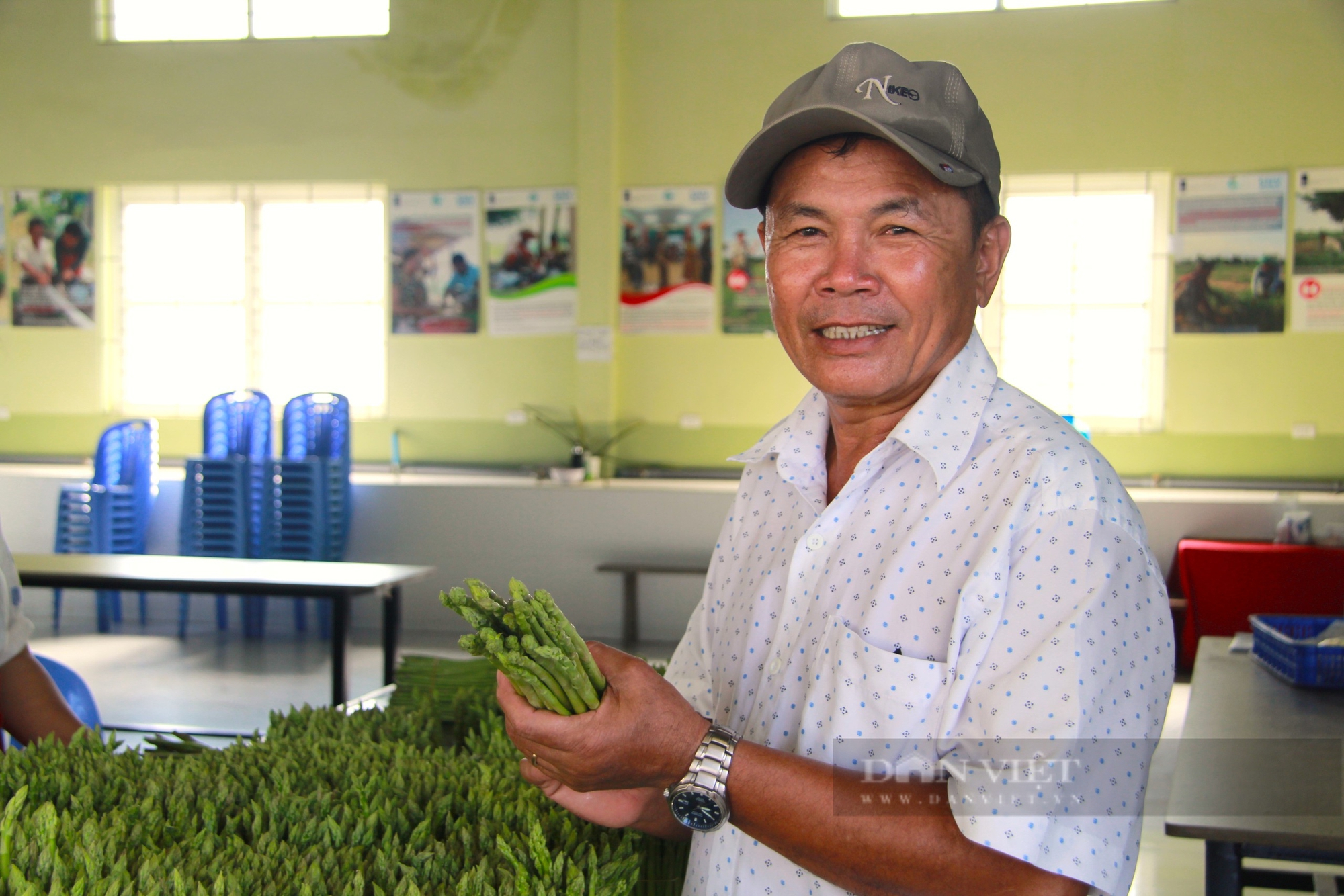 Có Hợp tác xã này "đỡ đầu", nông dân vùng trồng măng tây xanh lớn nhất Ninh Thuận khá lên trông thấy - Ảnh 2.