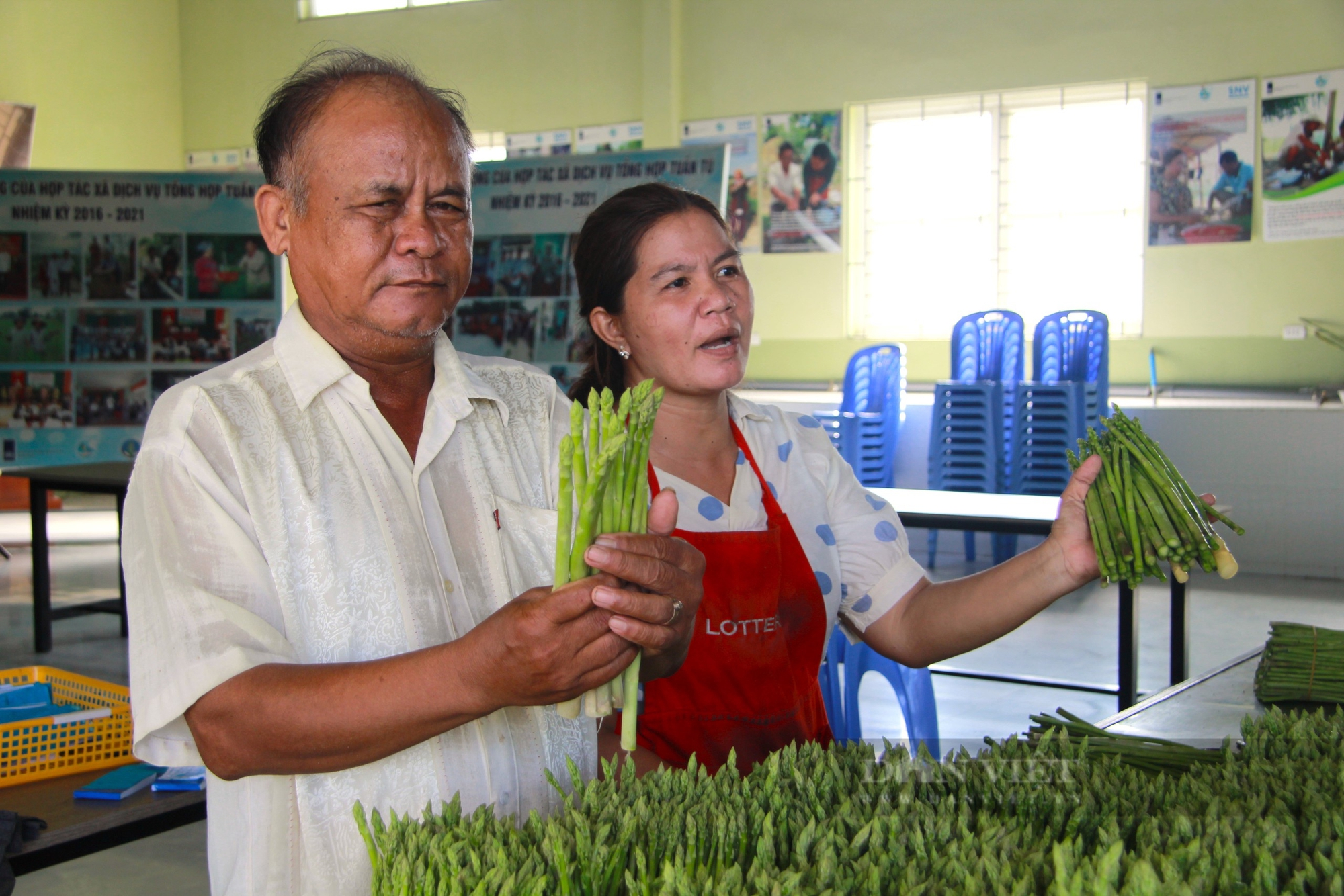 Có Hợp tác xã này "đỡ đầu", nông dân vùng trồng măng tây xanh lớn nhất Ninh Thuận khá lên trông thấy - Ảnh 4.