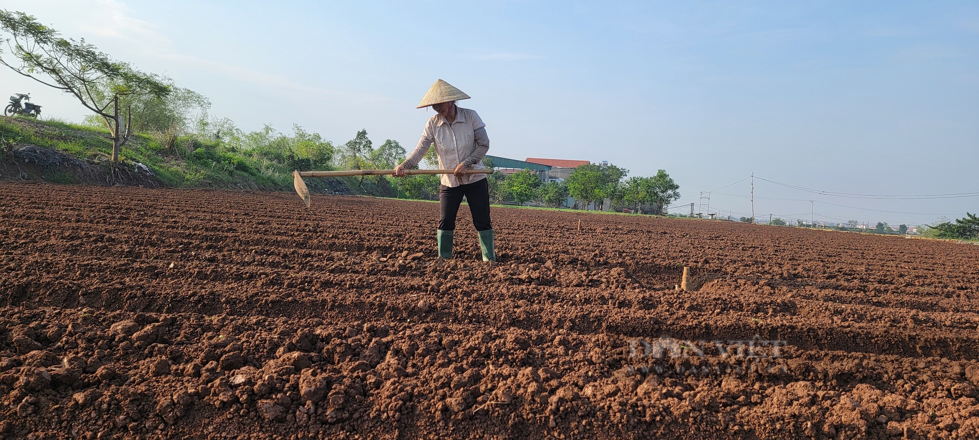 Hải Dương nỗ lực khắc phục hậu quả sau bão lũ, sớm đưa hoạt động sản xuất phục hồi trở lại - Ảnh 8.