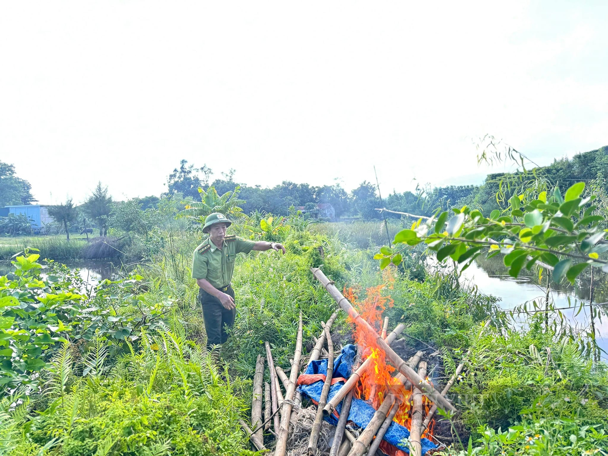 Hà Tĩnh: Ra quân xử lý bẫy đánh bắt chim hoang dã trái phép - Ảnh 5.