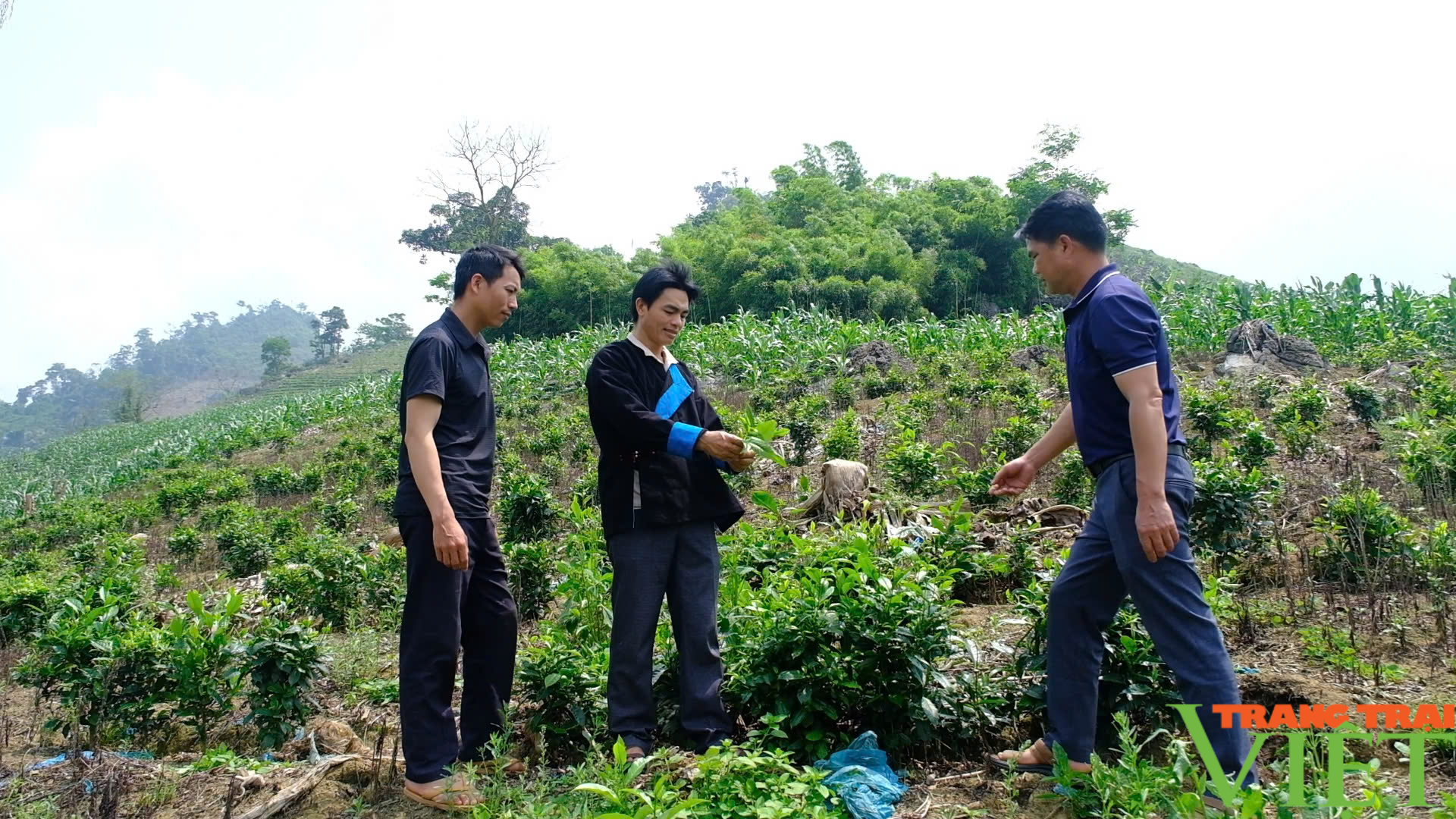 Mường Khương: Phát huy vai trò của Bí thư Chi bộ thôn trong xây dựng nếp sống văn hoá, nông thôn mới - Ảnh 9.