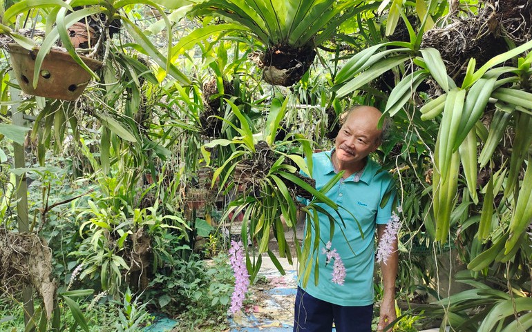 Cá linh non mùa nước nổi đầu nguồn sông Hậu ở An Giang, sao bán giá nhà giàu, dễ bị làm giả cá linh? - Ảnh 8.