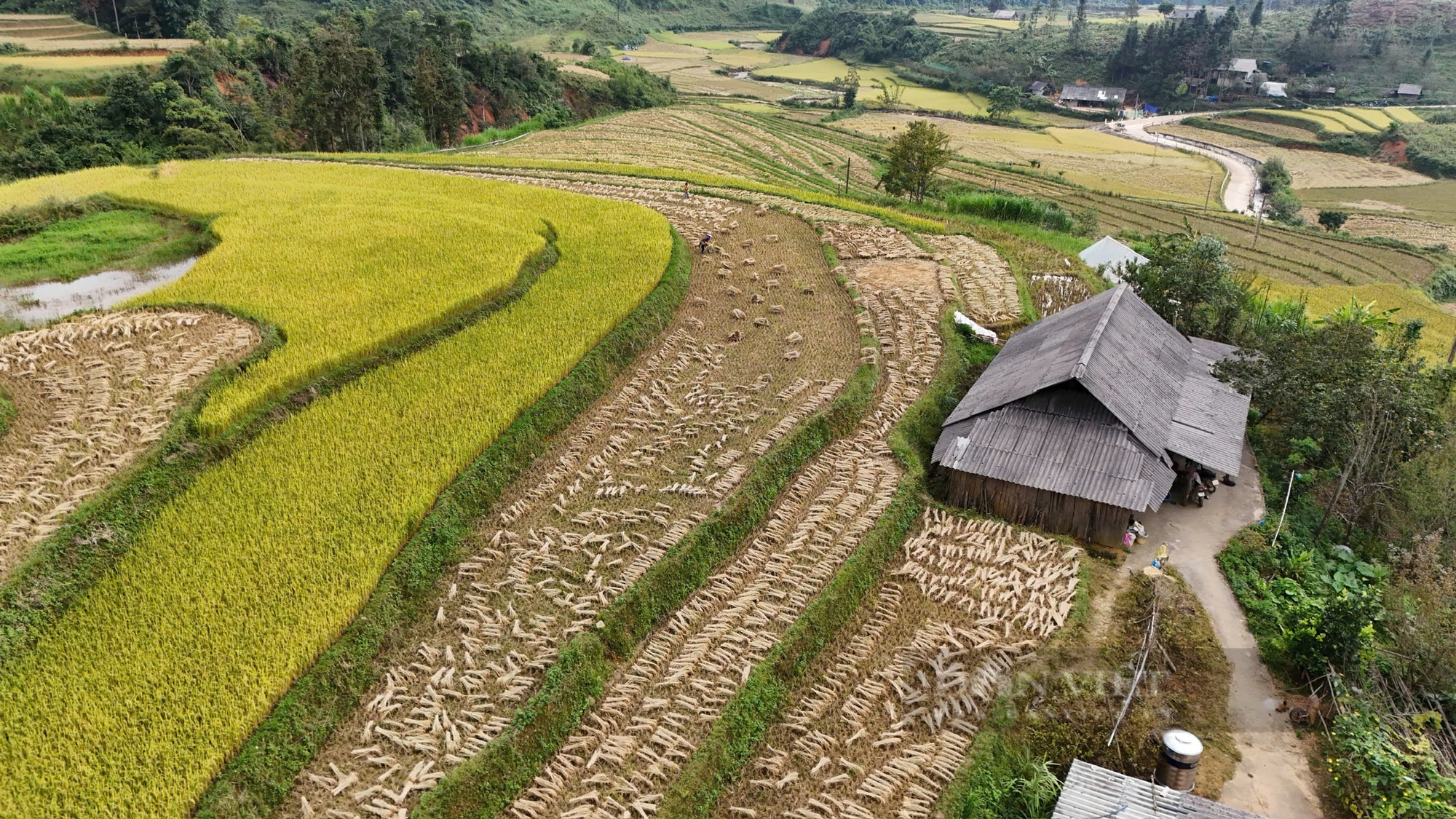 Vẻ đẹp ruộng bậc thang sau cơn lũ ở vùng cao Lào Cai  - Ảnh 1.