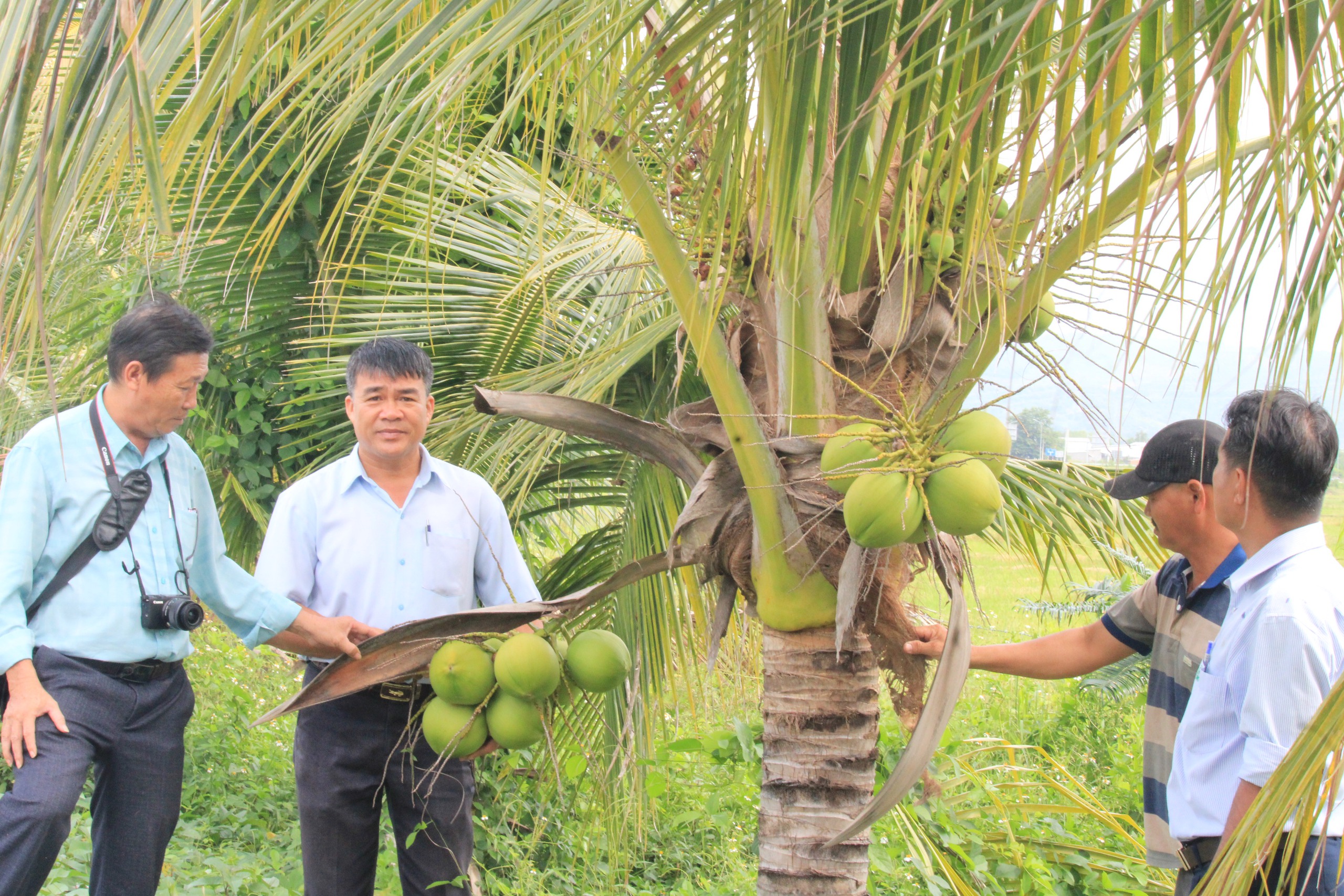 Khánh Hòa: Một hội viên nông dân ở Diên Khánh thả cá vào ao, khách đến câu tha hồ lấy tiền - Ảnh 2.