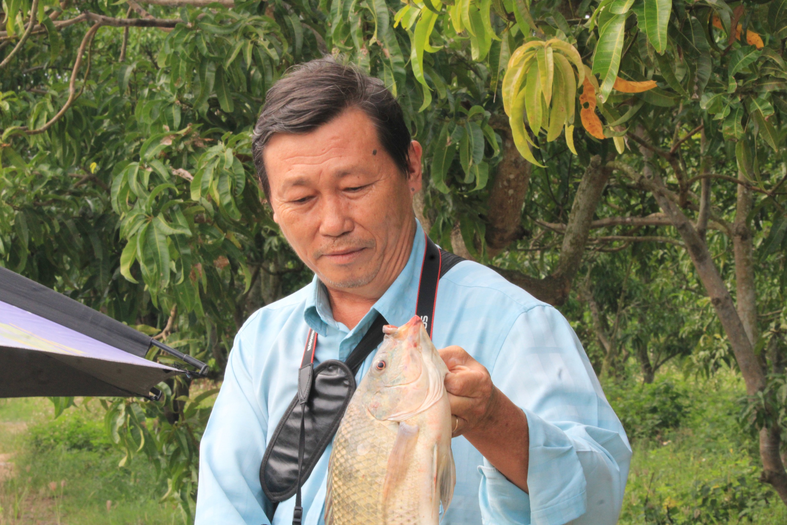 Khánh Hòa: Một hội viên nông dân ở Diên Khánh thả cá vào ao, khách đến câu tha hồ lấy tiền - Ảnh 4.