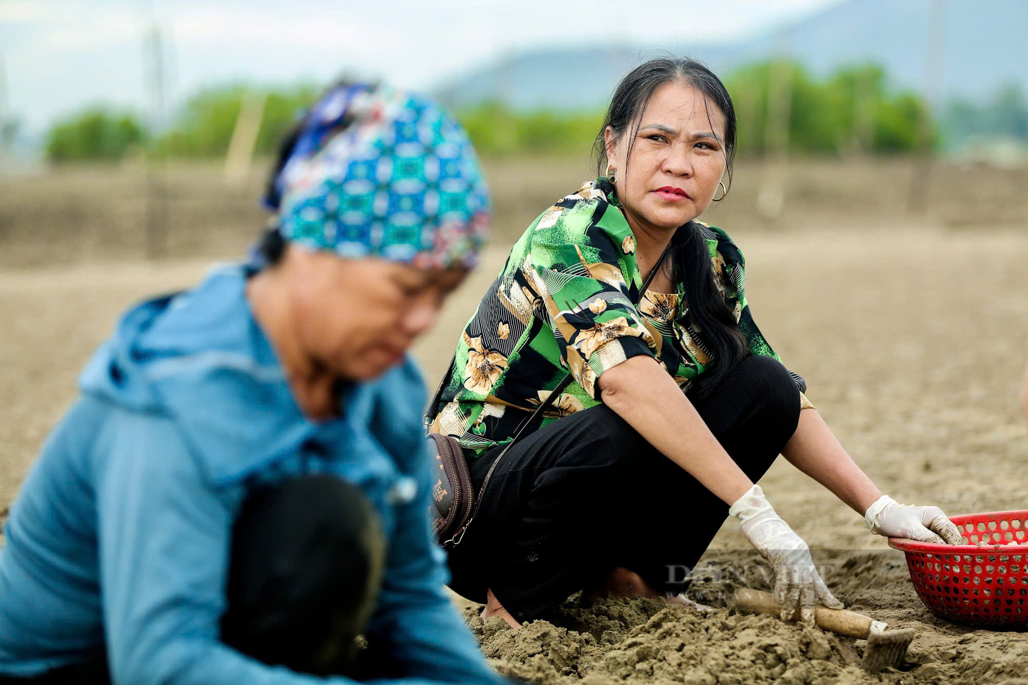 Nông dân Việt Nam xuất sắc 2024 đến từ Thanh Hóa có gần 50ha ngao - Ảnh 3.