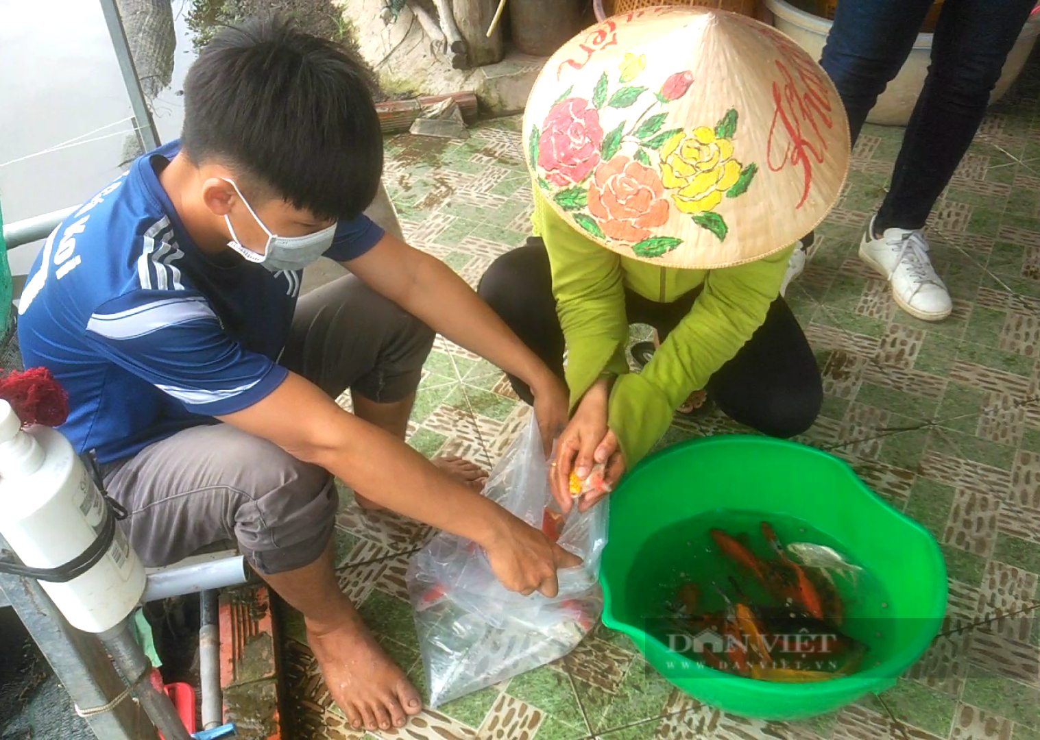 Sau Làng nghề trồng mai vàng, huyện Bình Chánh đề xuất công nhận tiếp làng nghề nuôi cá triệu đô  - Ảnh 1.