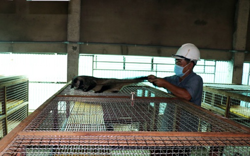 Gác bằng đại học, trai Hà Tĩnh về quê nuôi một con vật siêu đẻ, doanh thu tiền tỷ, đó là con gì vậy? - Ảnh 7.