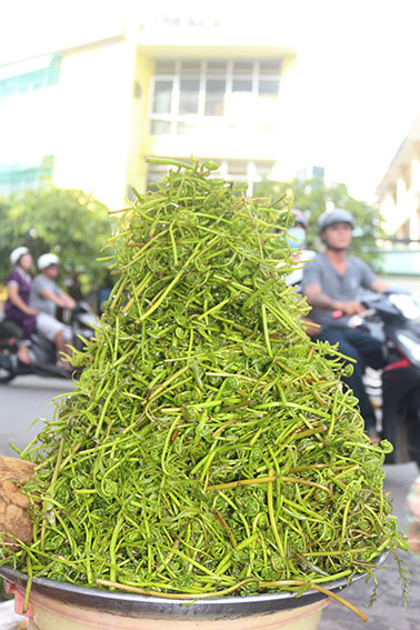 Loại rau rừng tên đọc "đau mồm" mọc hoang vùng Đồng Tháp Mười ở Tiền Giang nay là rau đặc sản nhà giàu - Ảnh 1.