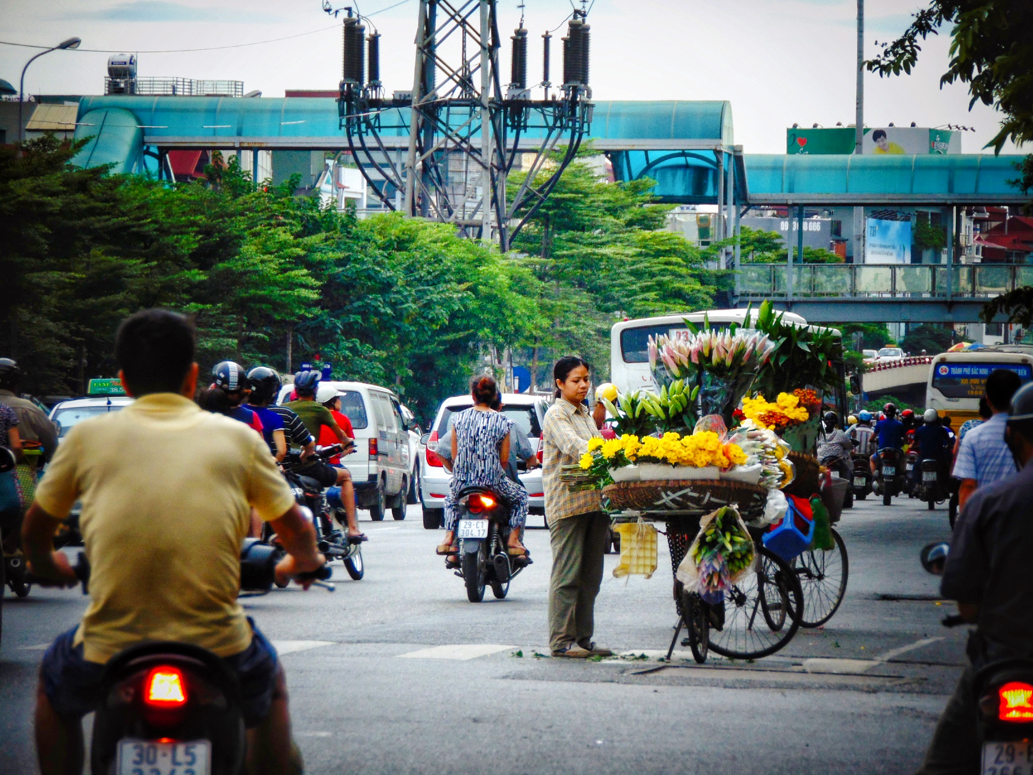 Ký ức Hà Nội: Sách, gốm, hoa và kỷ niệm khó quên sau mỗi chuyến công tác ở Thủ đô - Ảnh 1.