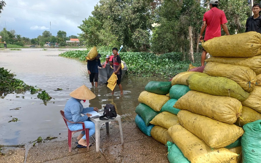 Một người Phú Yên trồng 13ha mía, 20ha keo được bình chọn là Nông dân Việt Nam xuất sắc 2024 - Ảnh 2.