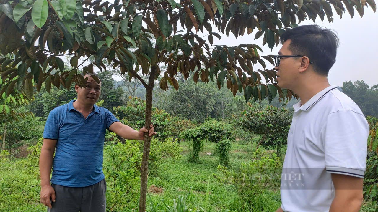 Phát triển mô hình VAC quy mô lớn, vợ chồng anh nông dân Thái Nguyên thu gần 2 tỷ đồng mỗi năm - Ảnh 5.