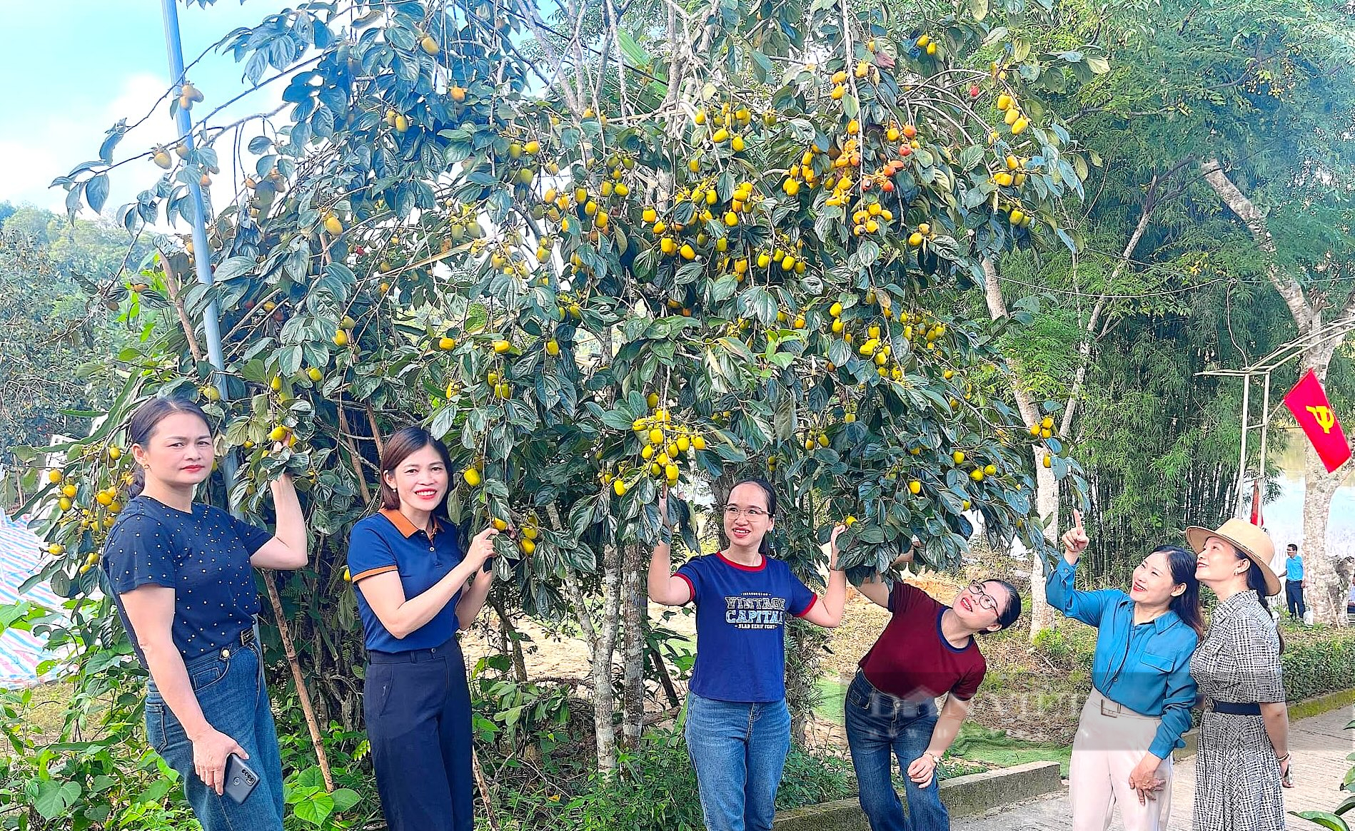 Tuần lễ hồng giòn có tuổi đời hơn trăm năm ở Hà Tĩnh- Ảnh 6.