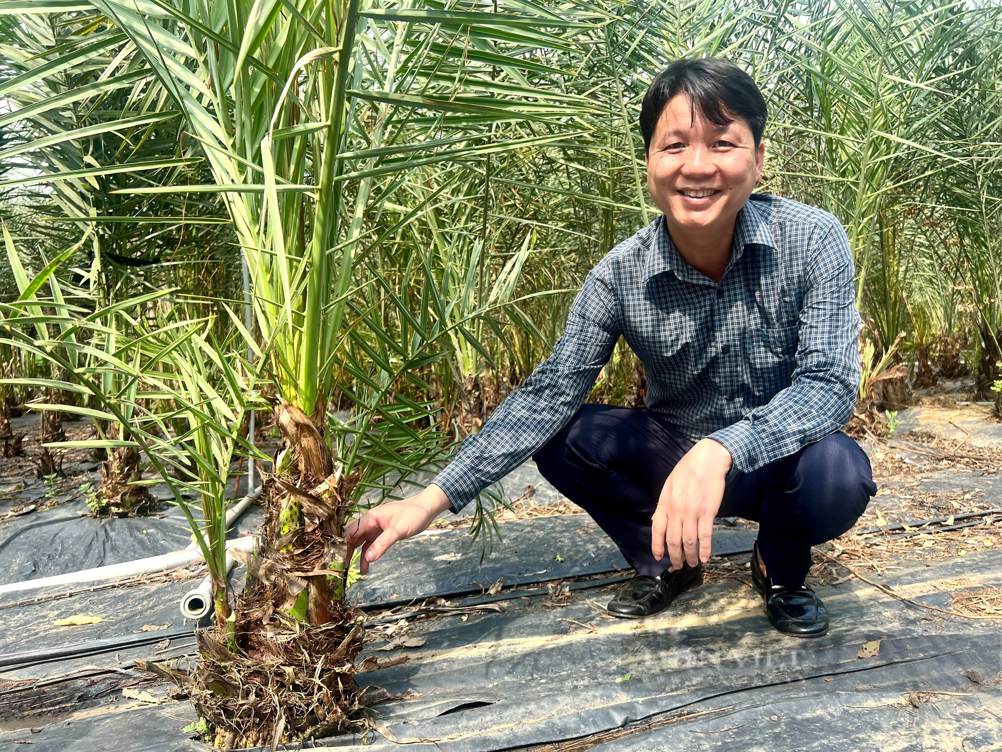 Nông dân Việt Nam xuất sắc 2024: Làm du lịch nông nghiệp quảng bá đất và người Phú Thọ - Ảnh 1.