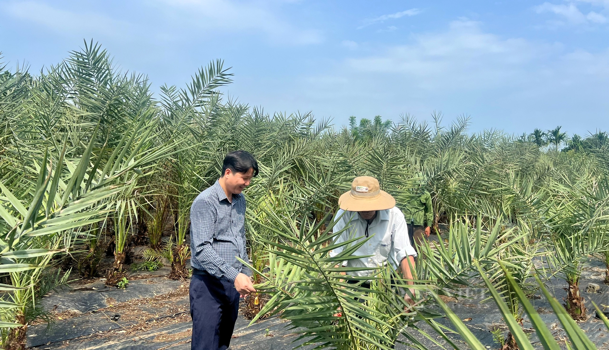 Nông dân Việt Nam xuất sắc 2024: Làm du lịch nông nghiệp quảng bá đất và người Phú Thọ - Ảnh 8.