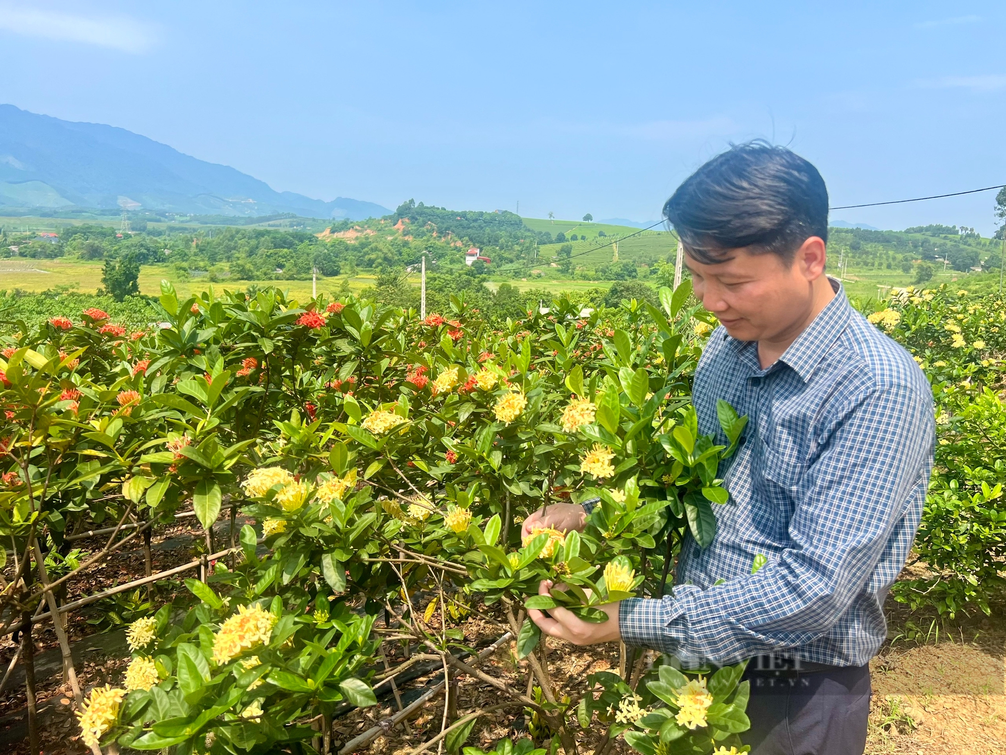 Nông dân Việt Nam xuất sắc 2024: Làm du lịch nông nghiệp quảng bá đất và người Phú Thọ - Ảnh 7.