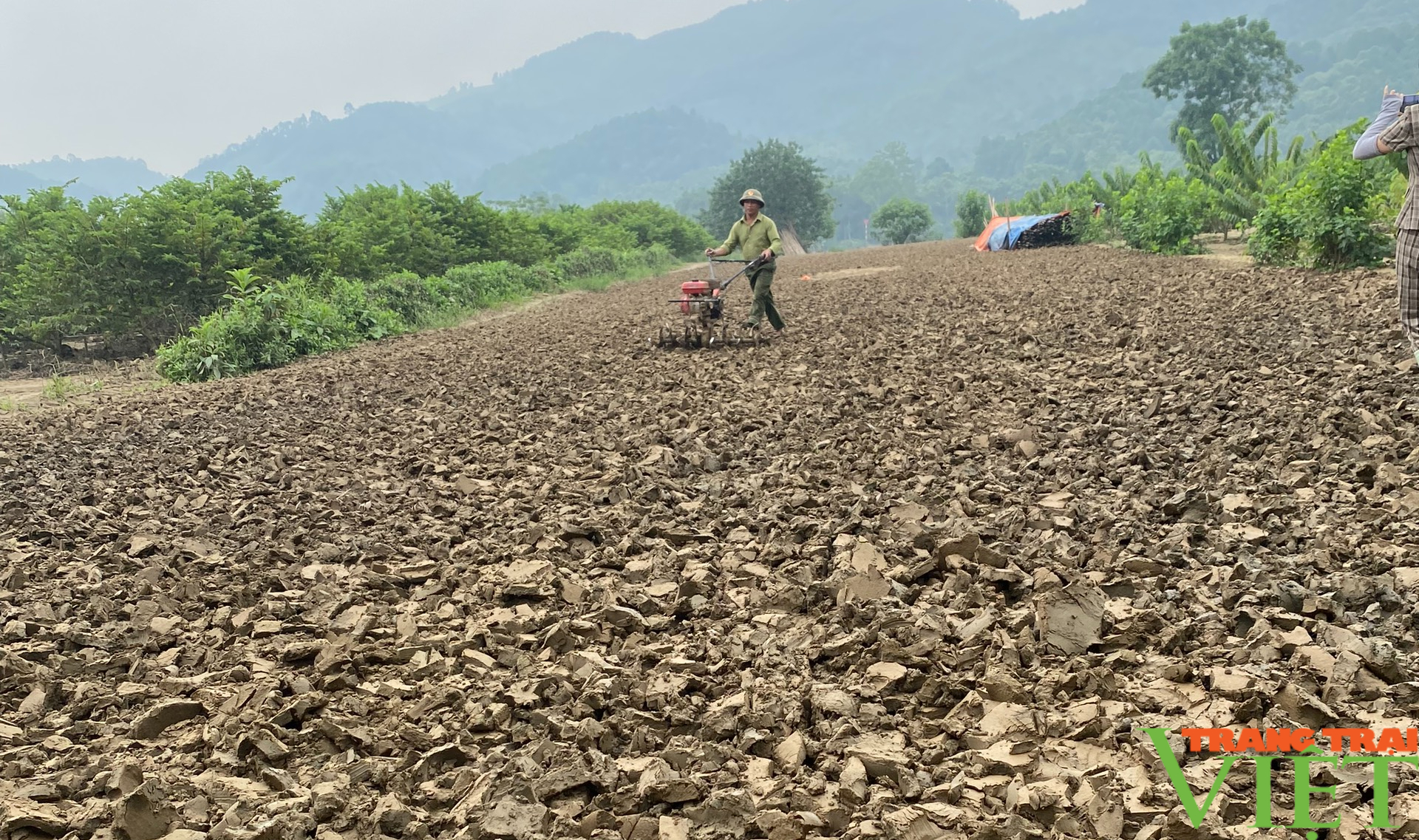 Lào Cai: Hỗ trợ hơn 1 tấn phân bón hội viên nông dân vùng lũ - Ảnh 2.