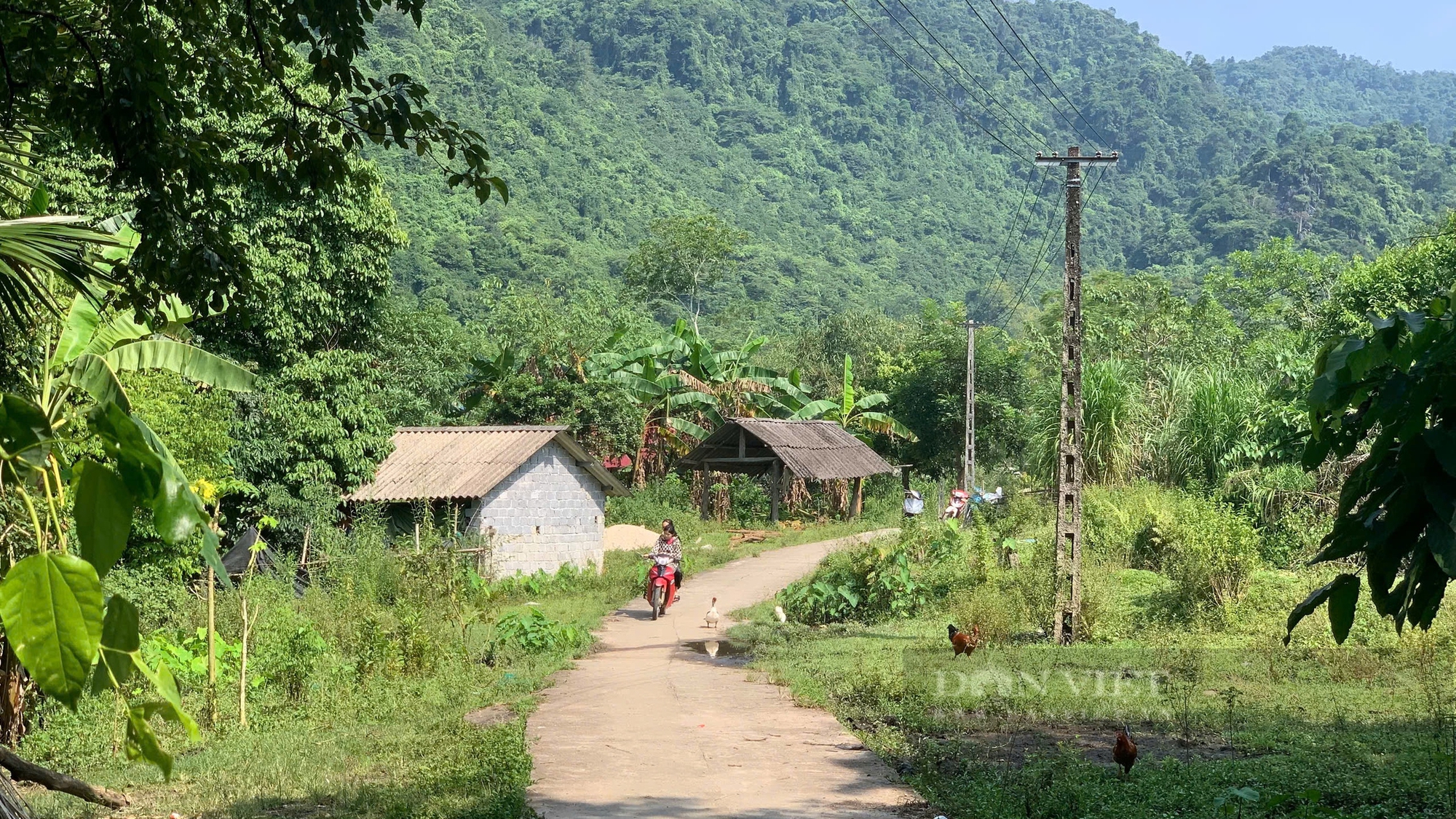 Huyện Vị Xuyên (Hà Giang): Người dân thôn Làng Má than khó khi phải mua điện với giá cao- Ảnh 1.