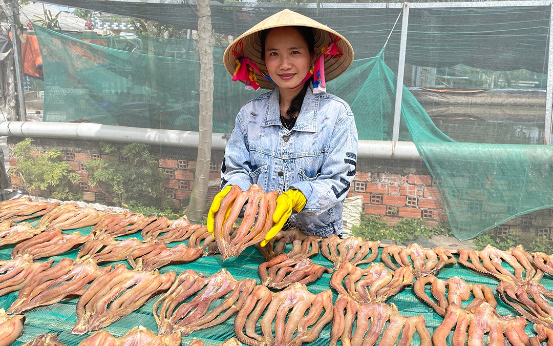 Trồng sâm núi Dành thành công ở Bắc Giang, củ giàu saponin như sâm Hàn, hoa bán đắt hàng - Ảnh 3.