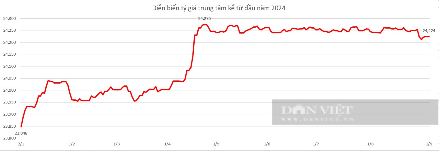 Giá USD hôm nay 3/9: Tỷ giá thế giới bất ngờ quay đầu giảm- Ảnh 2.