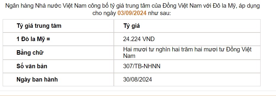 Giá USD hôm nay 4/9: Tỷ giá USD thế giới tiếp đà tăng- Ảnh 2.