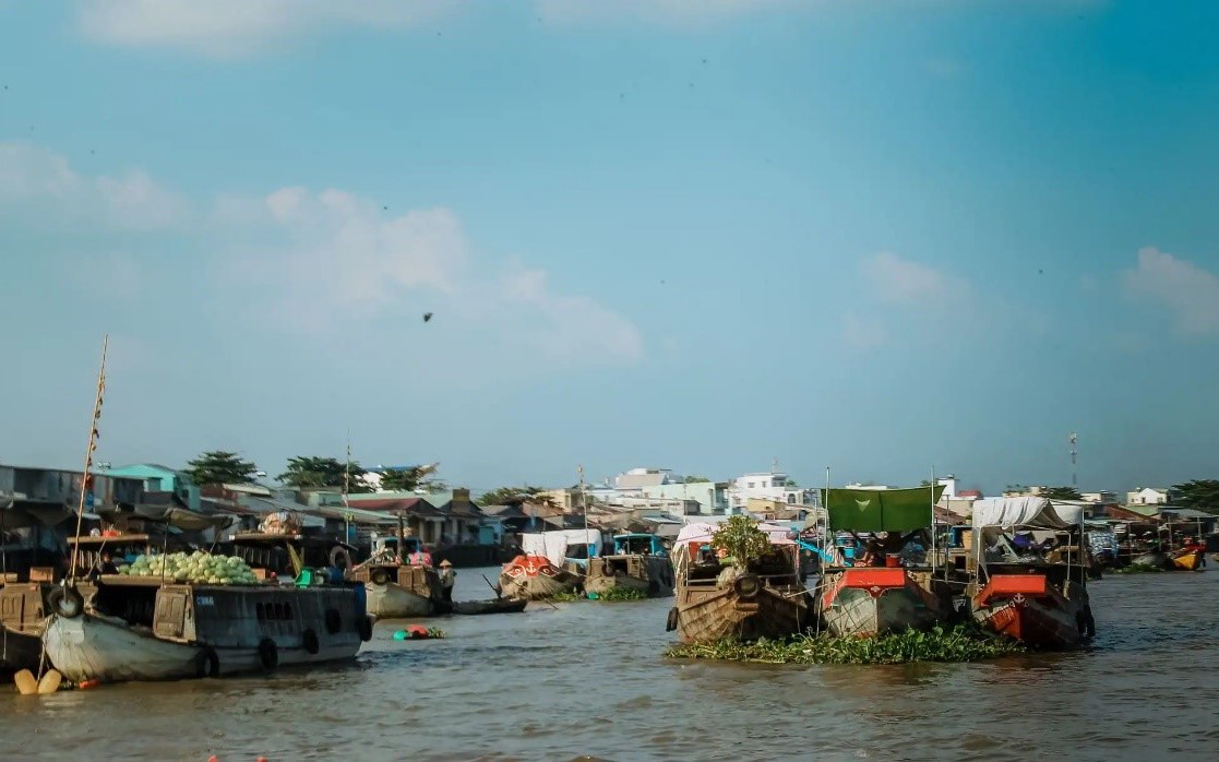 Cá linh non, đặc sản mùa nước nổi An Giang nay đã xuất hiện ở Vĩnh Long, làm nước mắm đãi nhà giàu - Ảnh 1.