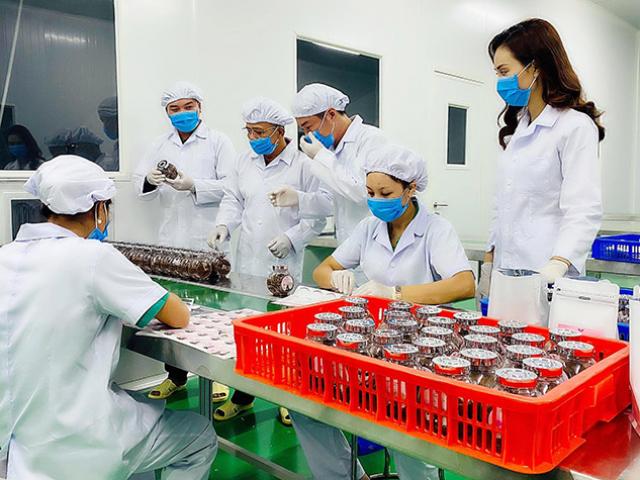 Giá cacao tăng chóng mặt, “ông lớn” bánh kẹo, chocolate đồng loạt tăng giá bán - Ảnh 3.