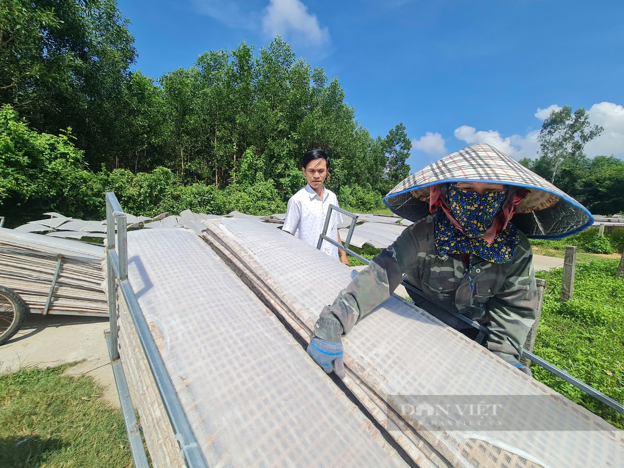 Chàng trai bỏ ngang công việc ở xã, đưa “hạt ngọc trời” thành thương hiệu, tạo nên HTX tiêu biểu ở Quảng Nam- Ảnh 6.