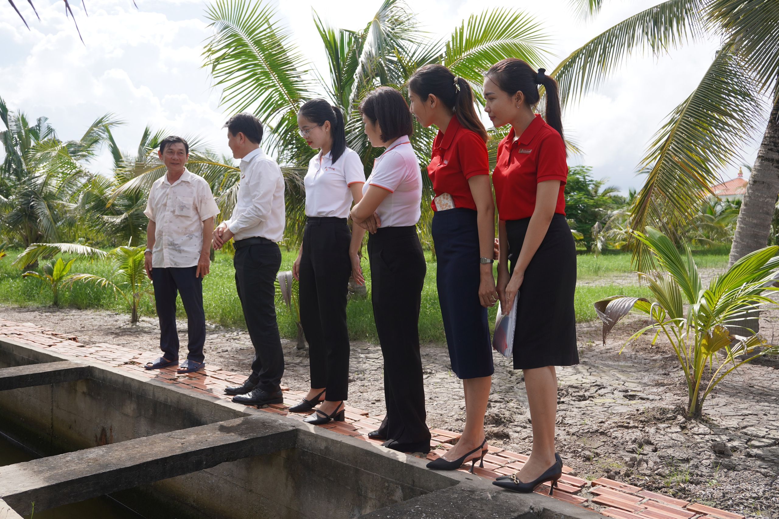 Cà Mau dẫn đầu cả nước về diện tích nuôi tôm, đời sống nông dân khởi sắc nhờ mô hình tiên tiến