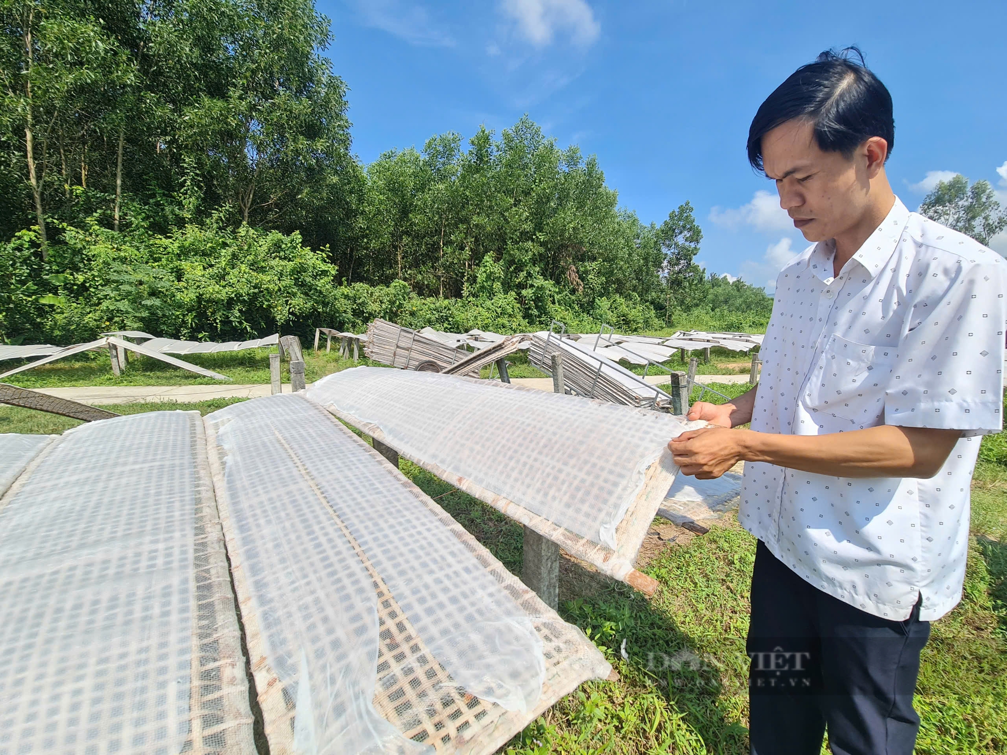 Chàng trai bỏ ngang công việc ở xã, đưa “hạt ngọc trời” thành thương hiệu, tạo nên HTX tiêu biểu ở Quảng Nam- Ảnh 2.