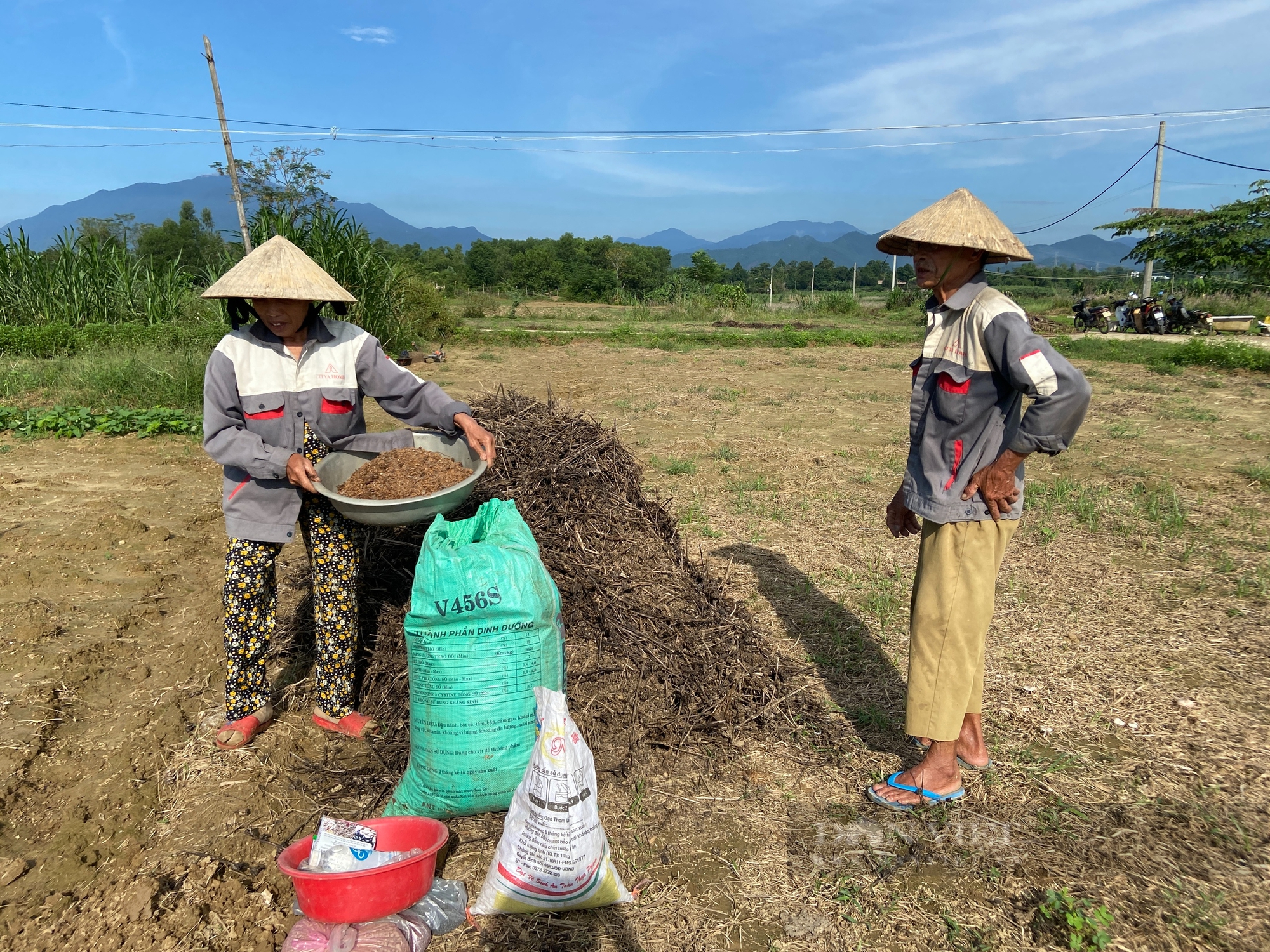 Ứng dụng công nghệ cao vào sản xuất một hợp tác xã ở Đà Nẵng được vinh danh - Ảnh 4.