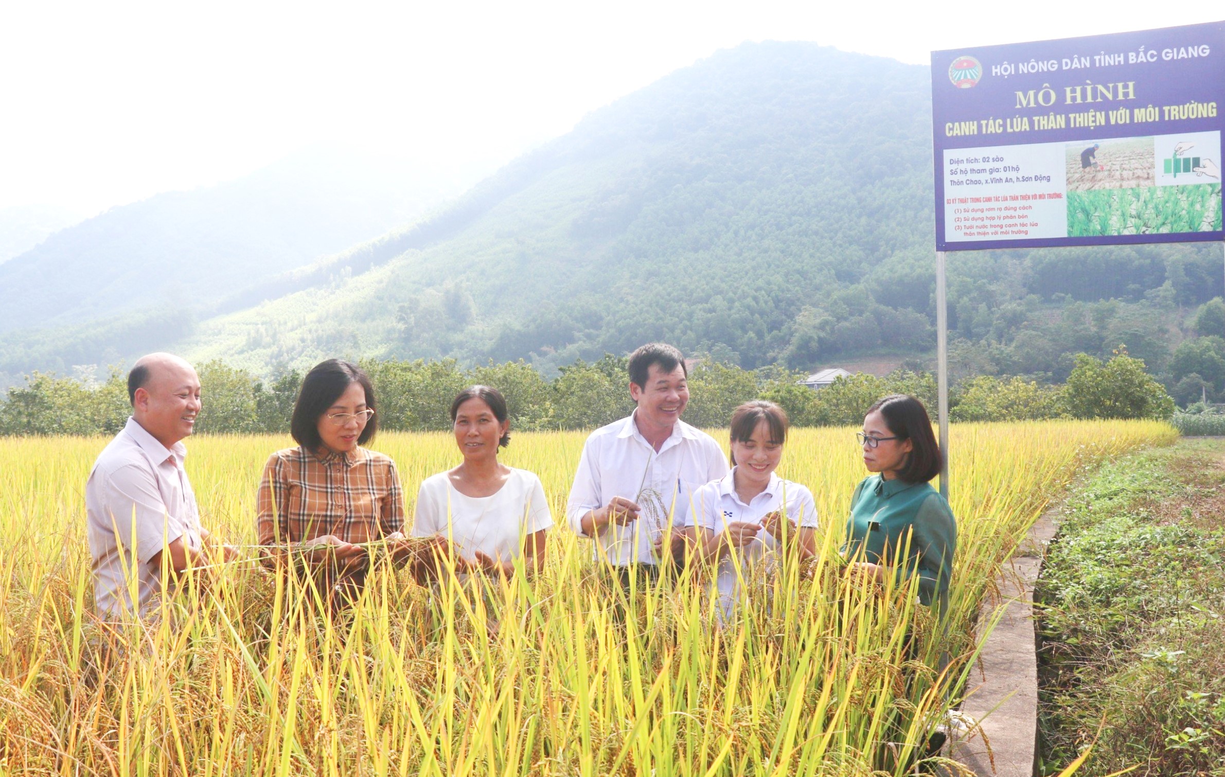 Chủ tịch UBND tỉnh Bắc Giang phê duyệt Đề án Tuyên truyền vận động nông dân áp dụng canh tác lúa thân thiện với môi - Ảnh 1.