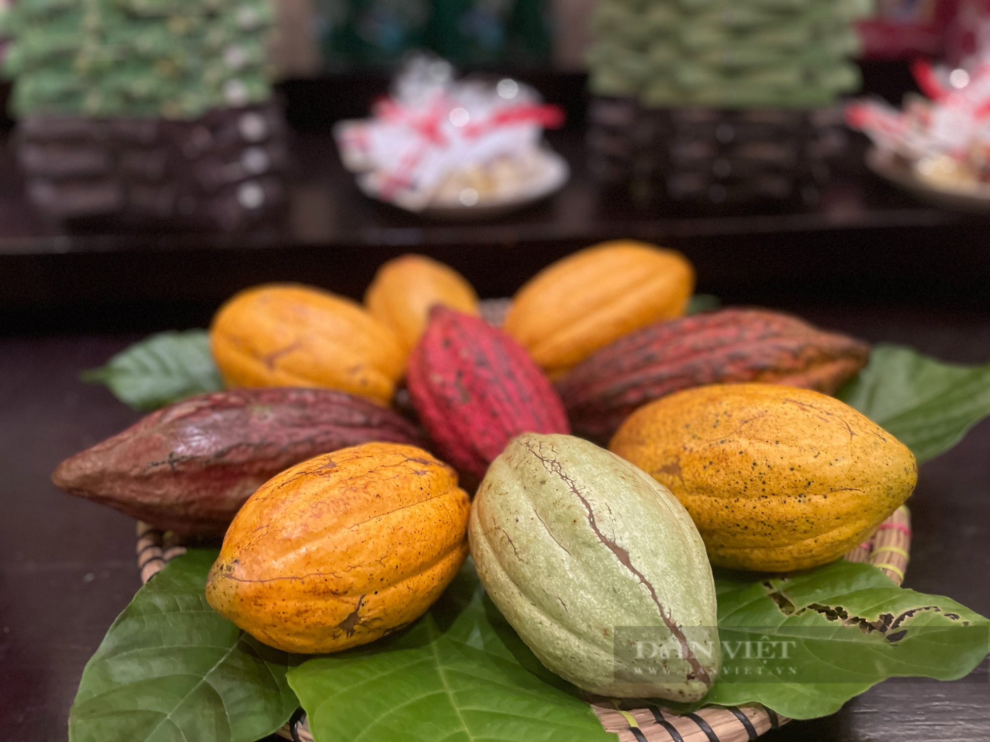 Giá cacao tăng chóng mặt, “ông lớn” bánh kẹo, chocolate đồng loạt tăng giá bán - Ảnh 1.