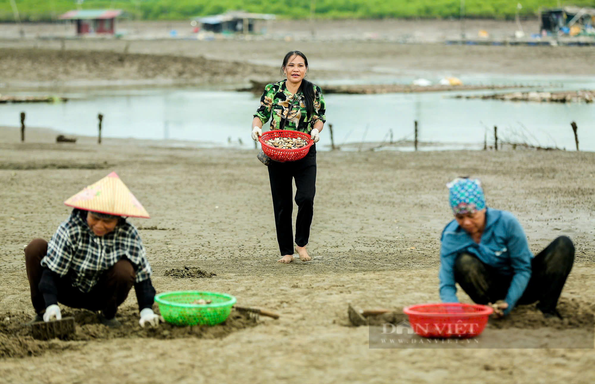 Cần đảm bảo an toàn nguồn nước để người nuôi trồng thủy hải sản ở các bãi, triều yên tâm sản xuất- Ảnh 1.