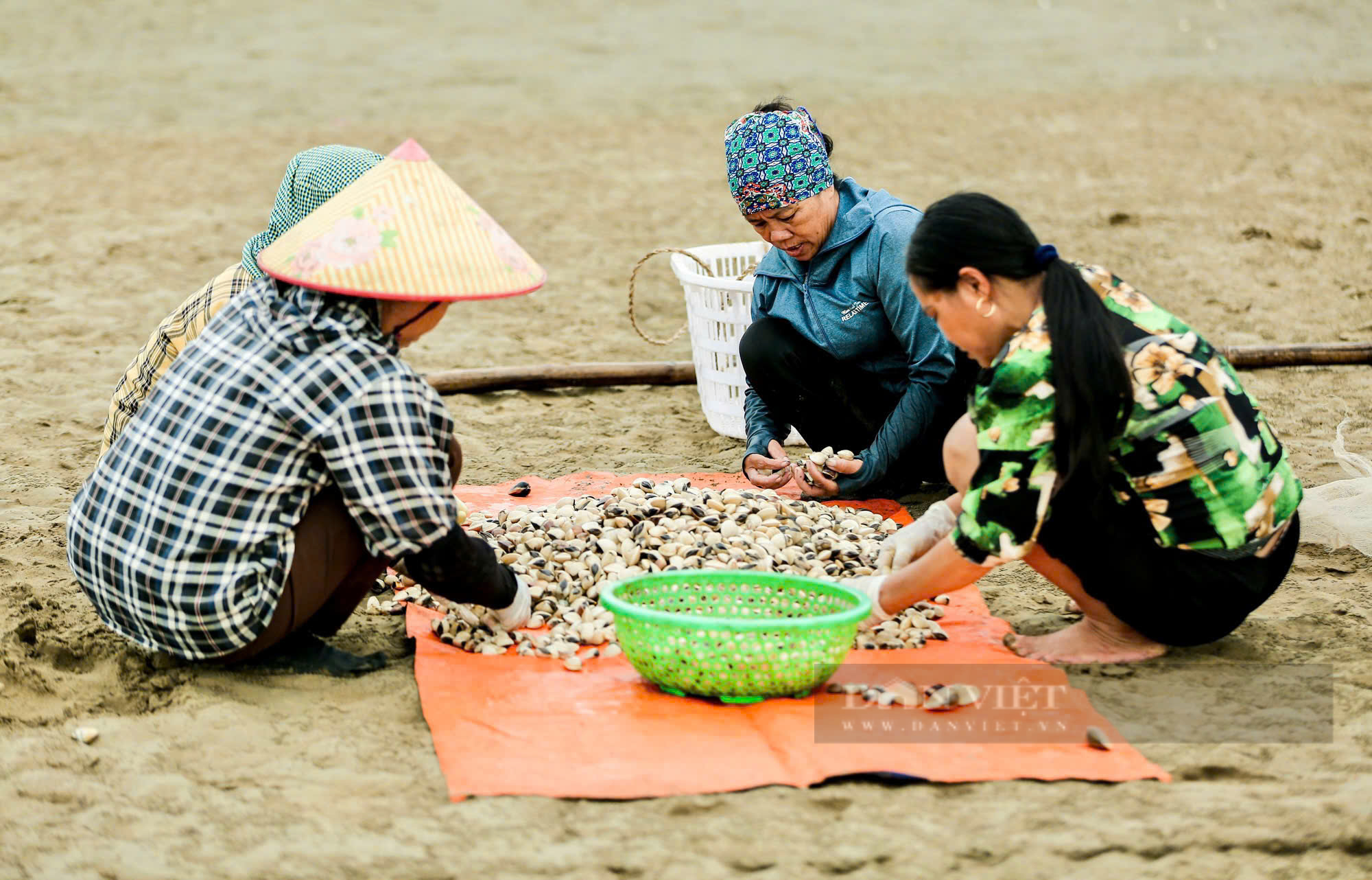 Cần đảm bảo an toàn nguồn nước để người nuôi trồng thủy hải sản ở các bãi, triều yên tâm sản xuất- Ảnh 5.