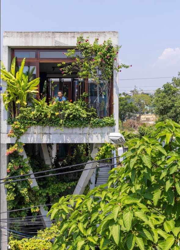 The Nest House: Nhà ống 4,5 x 16 m lấy cảm hứng từ "tổ chim"- Ảnh 6.