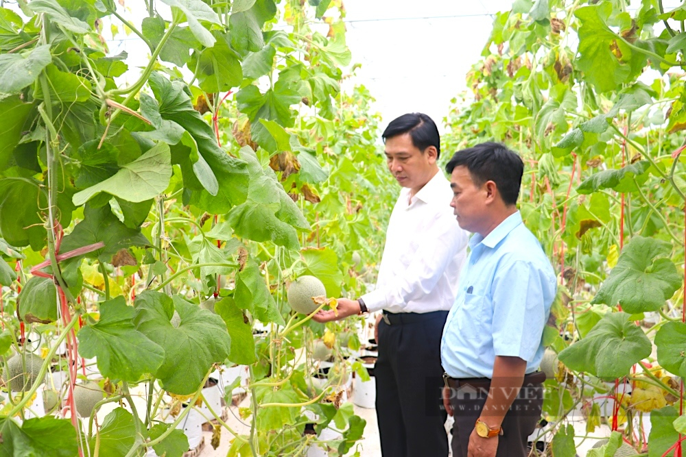 Tây Thành (Yên Thành) trở thành “điểm sáng” trong phòng trào xây dựng nông thôn mới tỉnh Nghệ An - Ảnh 6.