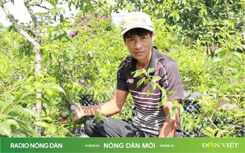 Radio online-Nông dân mới-Ông nông dân thành tiktoker triệu view-Radio nông dân-Radio trực tuyến - Ảnh 2.