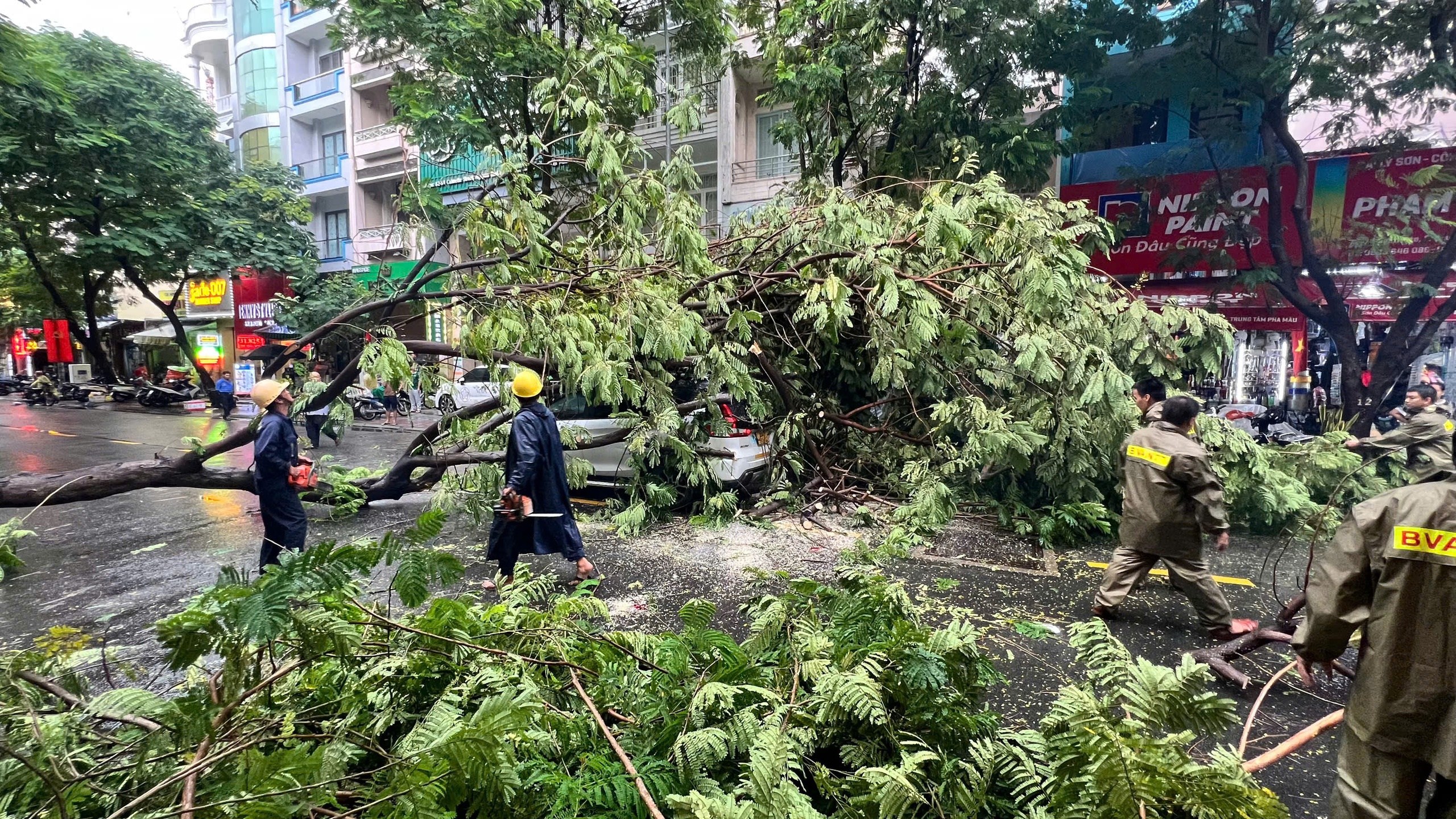 Cậy xanh đổ ngã trong mưa lớn đè lên một người phụ nữ nhập viện trong tình trạng đa chấn thương - Ảnh 4.