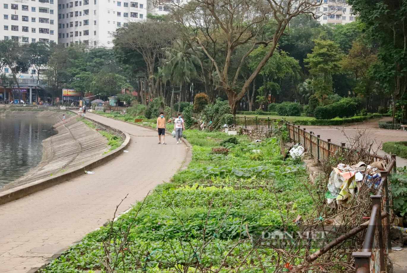 HUD giải trình Thanh tra Bộ Xây dựng khoản thu 10 triệu/tháng từ Công ty Phương Nam- Ảnh 1.