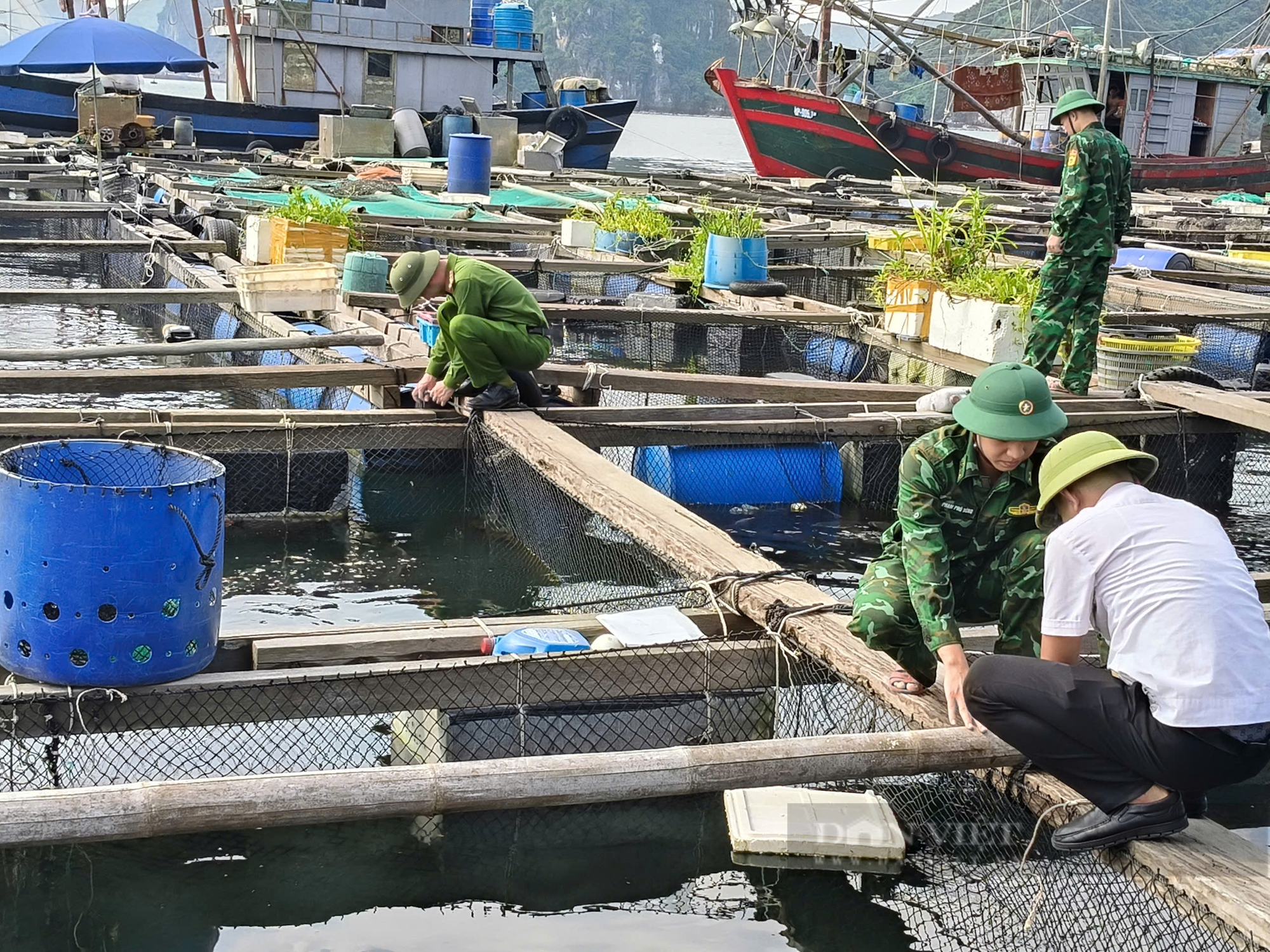 Bộ đội, công an Quảng Ninh cùng bà con ngư dân gia cố tàu thuyền và lồng bè chống bão số 3- Ảnh 7.