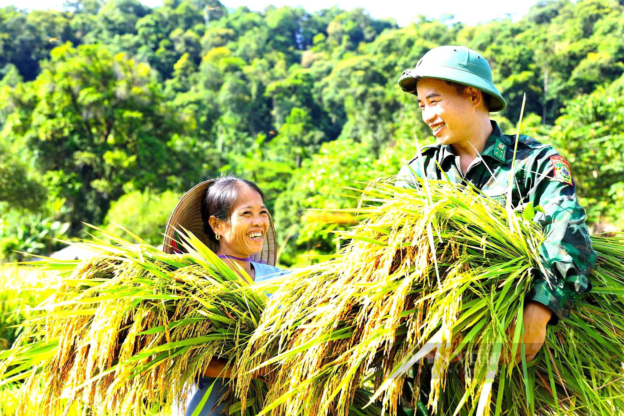 Hà Tĩnh: Bộ đội Biên Phòng cùng Hội Nông dân giúp bà con dân tộc Chứt thu hoạch lúa tránh bão số 3 - Ảnh 5.