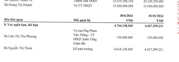 Licogi 13: Lợi nhuận giảm 72%, vay "nhỏ giọt" các bên liên quan - Ảnh 5.