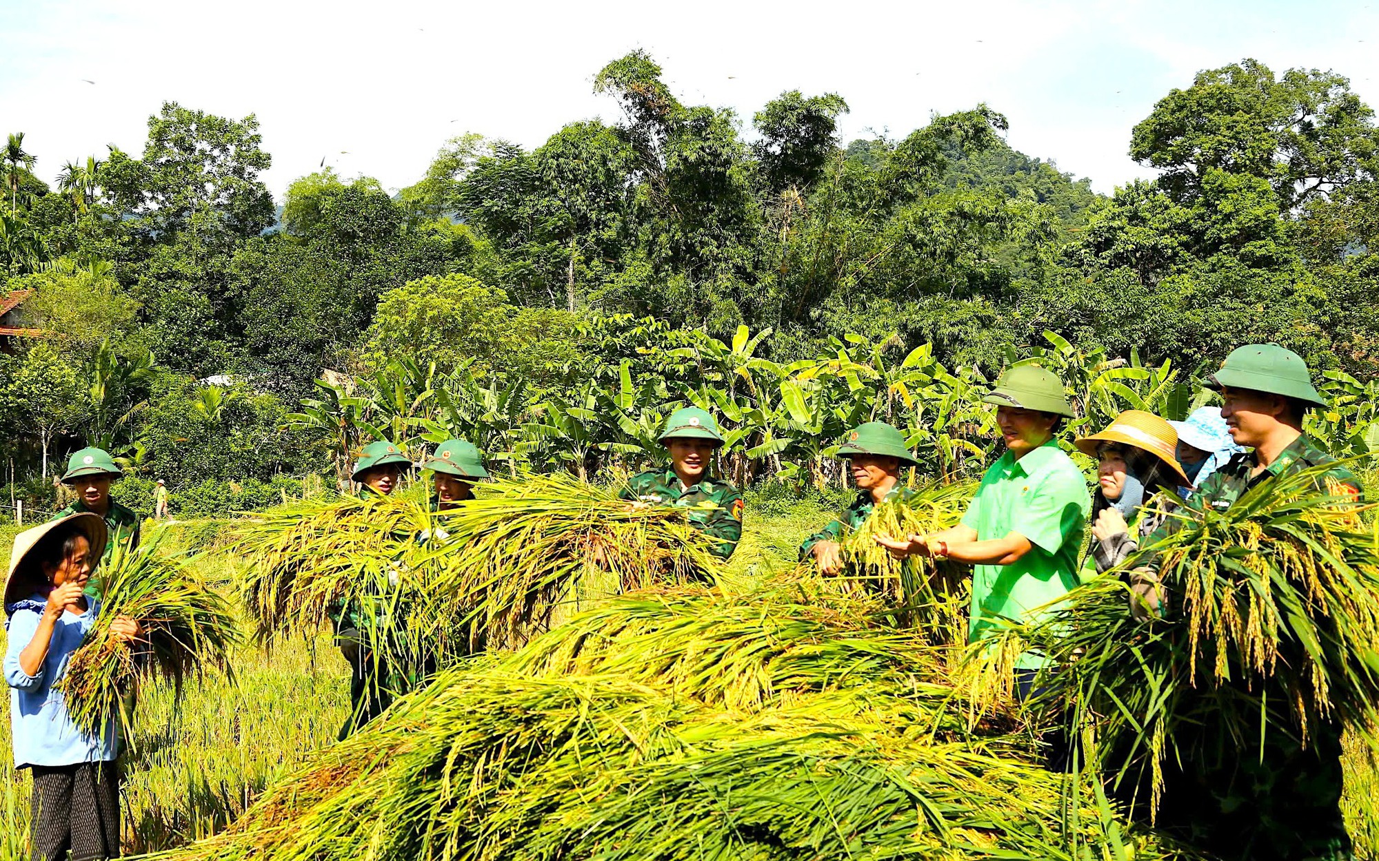 Kỳ tôm-loài động vật hoang dã có trong sách Đỏ, ở Việt Nam dân nuôi phát tài, vậy kỳ tôm là con gì? - Ảnh 2.